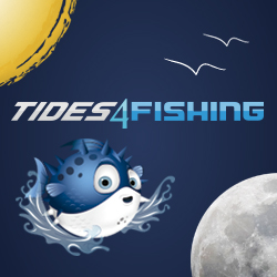 TIDES4FISHING | Tides times, tide table & solunar charts for ...